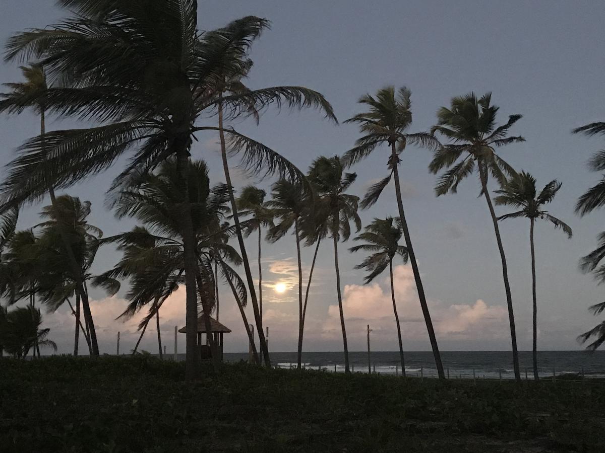 Vilage Em Praia Do Forte Luaran gambar